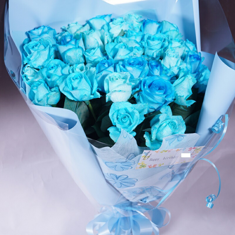 Sale 64 Off 青バラの花束3種類の青バラが選べる 青いバラ 青薔薇 青バラ 生花 ブルーローズ キャバクラ 誕生日 花 プレゼント ギフトキャバクラ 彼氏に お礼 青色 ブルー系 結婚 出産 珍しい花 新品種 花言葉 奇跡 神の祝福 ブーケ 1oficioverde Com Br