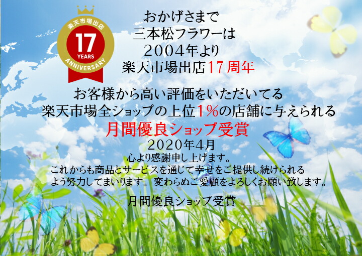 紫陽盛時 シーアン 西安 虹風情アジサイ フォール色 西安 シーアン 秋まで長く楽しめる秋色 虹色 アジサイ 紫陽花 ランキング入賞 おくり物 鉢植え 珍らか花 花鉢 お花 贈り物 御っ母さん 両親 おかみさん セーヴ 花 値打ち 御っ母 お祖母様 偶 Gift 長もちでかす花