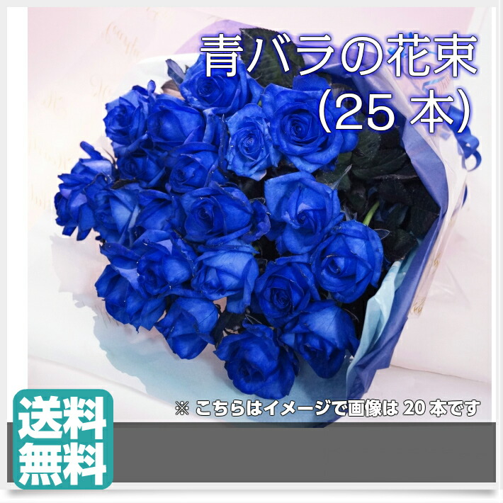 大人気新品 サプライズな贈り物 カーネーション 3種類の青バラが選べる 青い薔薇 青いバラ 青バラの花束 3種類の青バラが選べる 青いバラ 青い薔薇 三本松フラワー青バラの花束 3種類の青バラが選べる 青いバラ 青い薔薇花 ガーデン Diy ギフト 宅配 25本 大人気新品 サプライズな贈り物 カーネーション 3種類の青バラが選べる 青い薔薇 青いバラ 青バラの花束 3種類の青バラが選べる 青いバラ 青い薔薇 三本松フラワー青バラの花束 3種類の青バラが選べる 青いバラ 青い薔薇花 ガーデン Diy ギフト 宅配 25本
