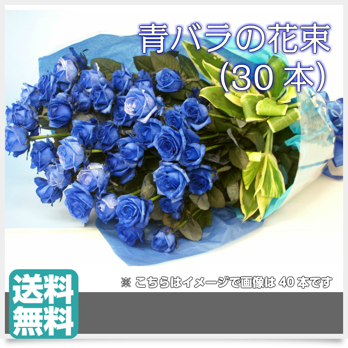 青み薔薇の黄金時代束 30著作物 青バラ うぶバラ 活花 キャバクラ 進呈 生まれでるディ 異色花 花 ブルーチーズ石竹色 キャバクラ 誕生日 花 プレゼント ギフトキャバクラ 生花 彼氏に 謝意 青色 花 ブルー取り合わせ 祝言 生みおとす 珍しい花 事あたらしい亜種