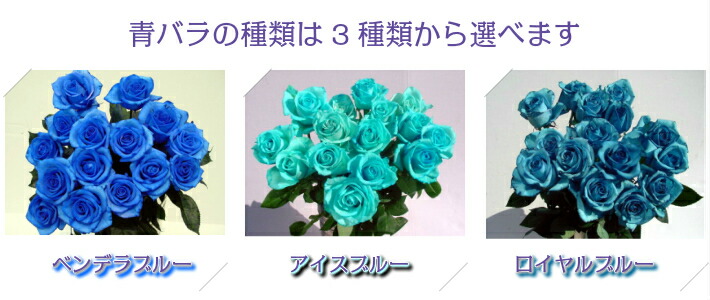 青バラの花束 30本 青バラ 青いバラ 生花 キャバクラ プレゼント 誕生日 珍しい花 花 ブルーローズ キャバクラ 誕生日 花 プレゼント ギフトキャバクラ 生花 彼氏に お礼 青色 花 ブルー系 結婚 出産 珍しい花 新品種 プレゼント 花言葉 奇跡 神の祝福 Relentlessvb Com