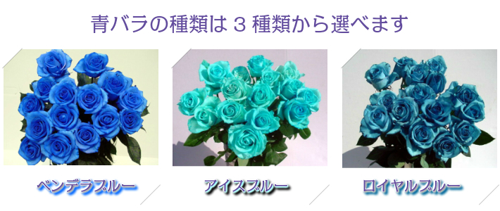 青バラの花束 35本 3種類の青バラが選べる 青いバラ 青薔薇 青バラ 生花 ブルーローズ キャバクラ 生花 誕生日 花 プレゼント ギフトキャバクラ 生花 彼氏に お礼 青色 花 ブルー系 結婚 出産 珍しい花 新品種 プレゼント 花言葉 奇跡 神の祝福 Prescriptionpillsonline Is