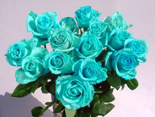 楽天市場】ラメ付きアイスブルー青バラ 花束 【本数指定で青バラ花束