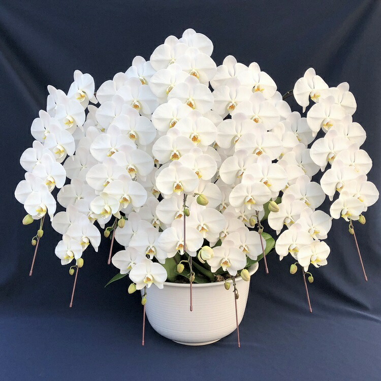 米寿の祝い事に人並み外れたな華を