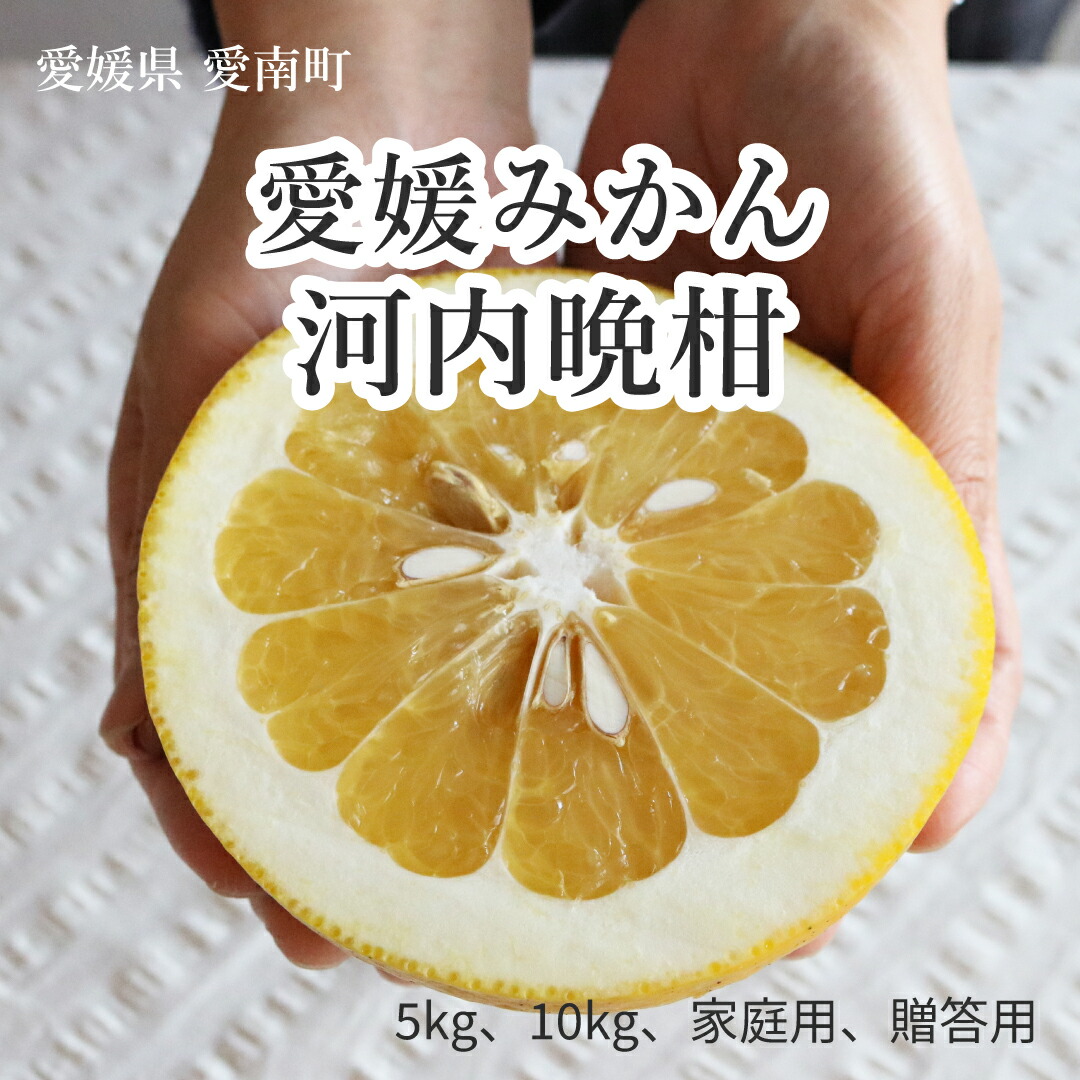 愛媛 愛南町 河内晩柑 販売時期：4月｜産地ダイレクト