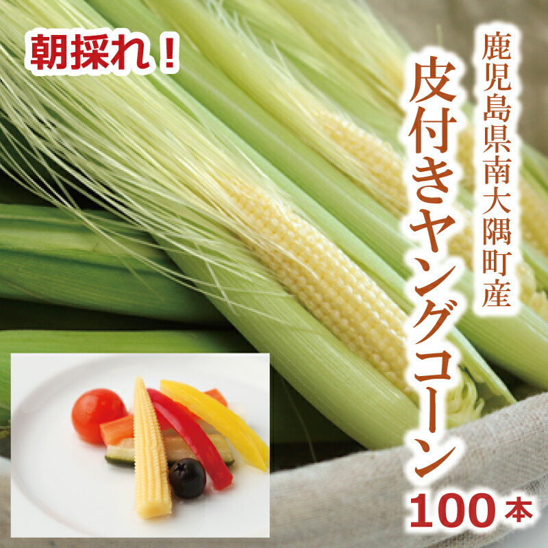 高価値セリー 楽天市場】数量限定 ヤングコーン ベビーコーン 100本 30本 野菜