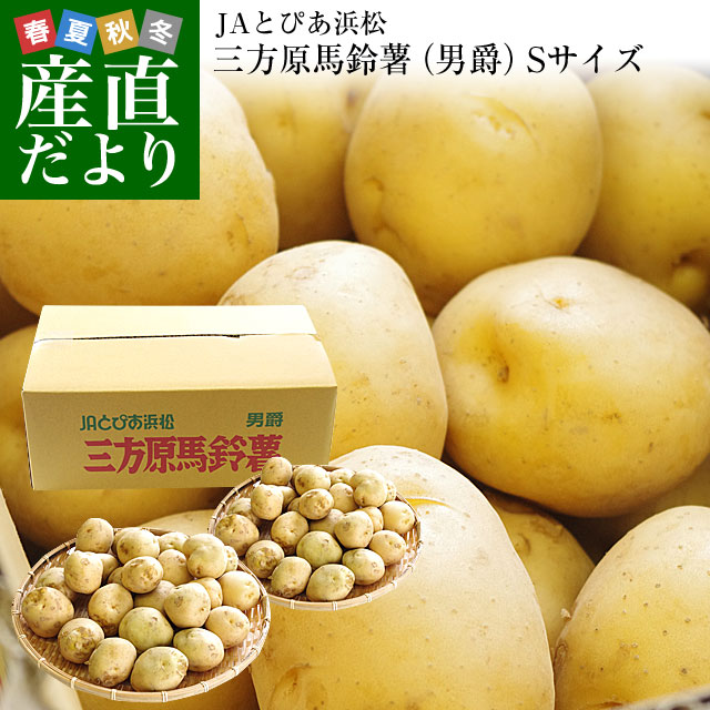 楽天市場 送料無料 静岡県産 Jaとぴあ浜松 三方原馬鈴薯 男爵 S