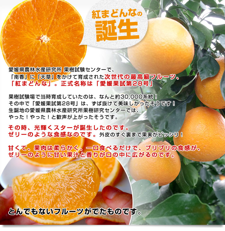 【楽天市場】愛媛県産 JAえひめ中央 紅まどんな(R)入りジュース 1箱 (1000ml×6本) 送料無料 みかん 蜜柑 ミカン 市場発送：産直だより