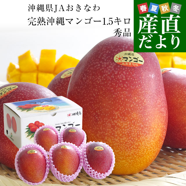 沖縄県より産地直送 JAおきなわ 完熟沖縄マンゴー 秀品 1.5キロ (4玉から5玉入り) 送料無料 まんごー アップルマンゴー　お中元