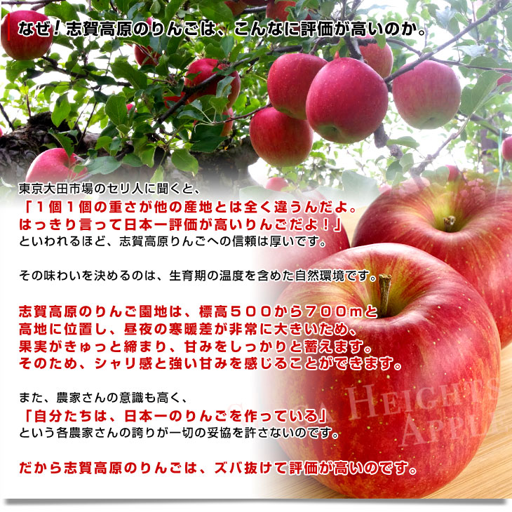 楽天市場 送料無料 長野県より産地直送 Jaながの 志賀高原のサンふじ