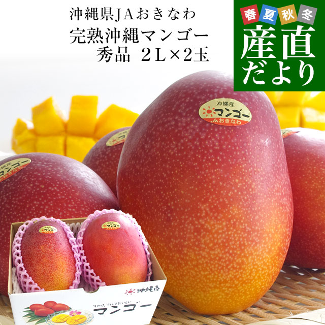 沖縄県より産地直送 JAおきなわ 完熟沖縄マンゴー 秀品 2Lサイズ×2玉 合計700g (約350g×2玉) 送料無料 まんごー アップルマンゴー お中元