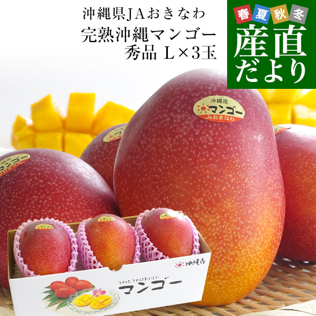 沖縄県より産地直送 JAおきなわ 完熟沖縄マンゴー 秀品 Lサイズ×3玉 合計900g (約300g×3玉) 送料無料 まんごー アップルマンゴー　お中元