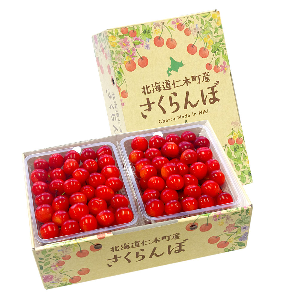 北海道から産地直送 Ja新おたる 仁木町のさくらんぼ 紅秀峰 秀品 2lサイズ 1キロ 500g 2パック入 送料無料 サクランボ クール便 Csecully Fr