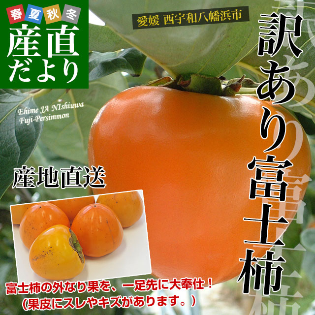 オンラインショッピング 愛媛県より産地直送 JAにしうわ 富士柿 訳あり 約2キロ 5玉から6玉 送料無料 柿 かき ふじがき  travellersofindia.com