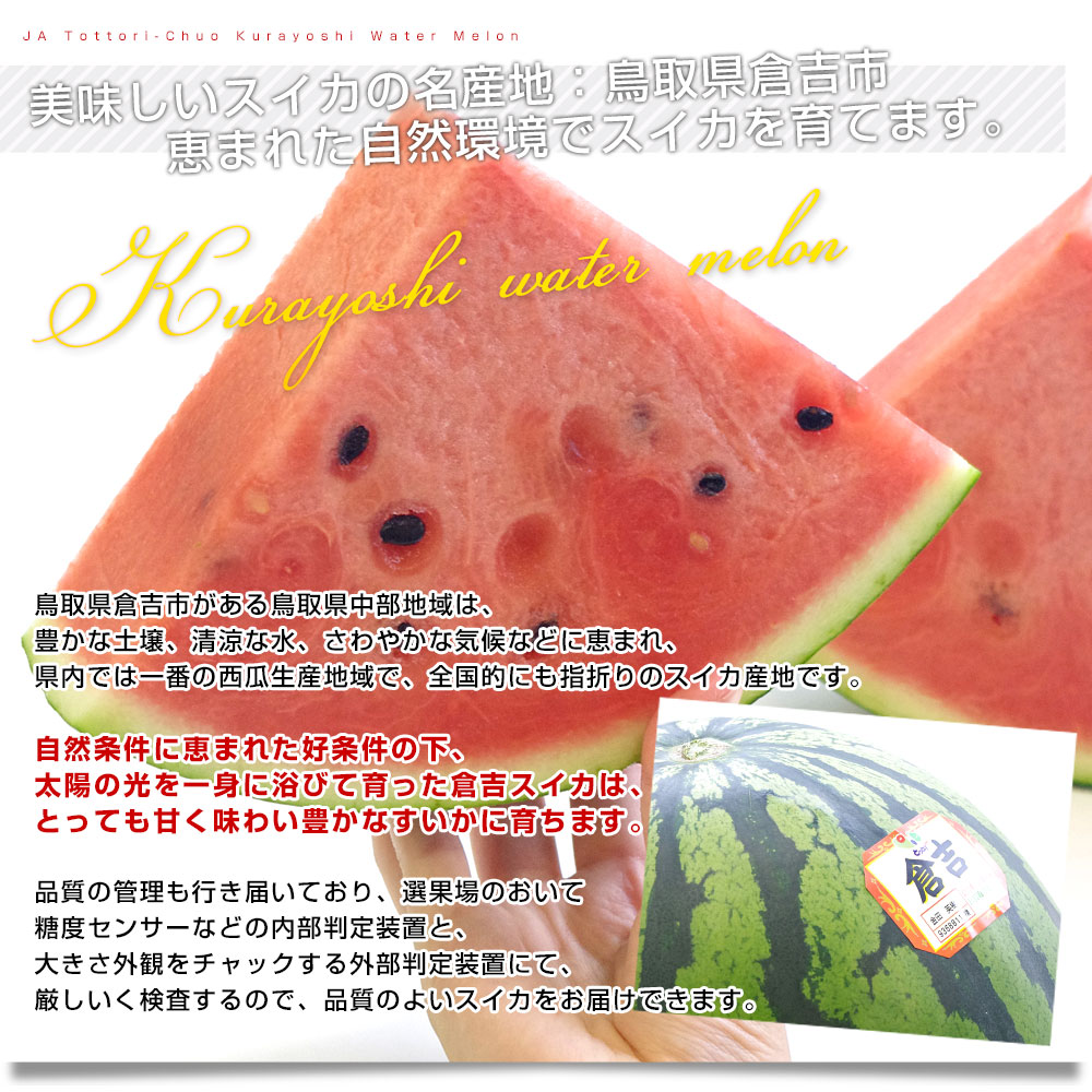 楽天市場 鳥取県から産地発送 Ja鳥取中央 倉吉スイカ 秀品 大玉 3lから4l 8キロ以上1玉 すいか 西瓜 送料無料 産直だより