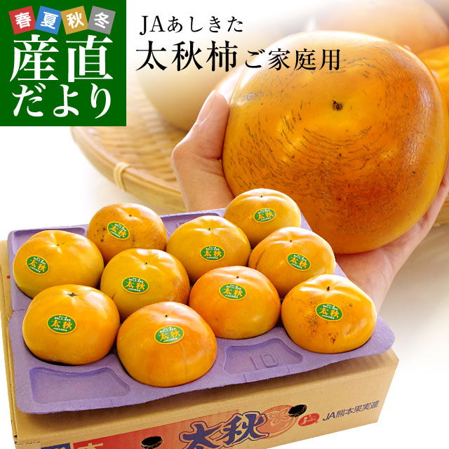 送料無料 熊本県より産地直送 JAあしきた 太秋柿 3.5キロ (8玉から14玉) 柿 かき