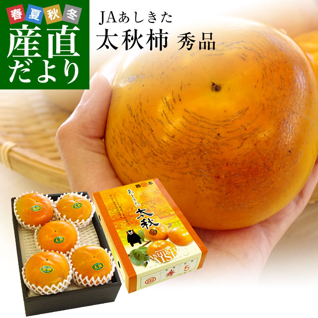 送料無料 熊本県より産地直送 JAあしきた 太秋柿 2キロ(5玉から6玉) 柿 かき