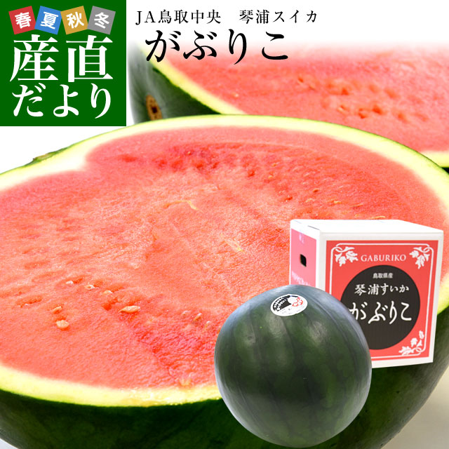 梨 20世紀梨 ちょっと訳あり 大きさお任せ 約5kg 鳥取県産 ja鳥取中央 なし ナシ Nsn12 はちやフルーツ 通販 Yahoo ショッピング