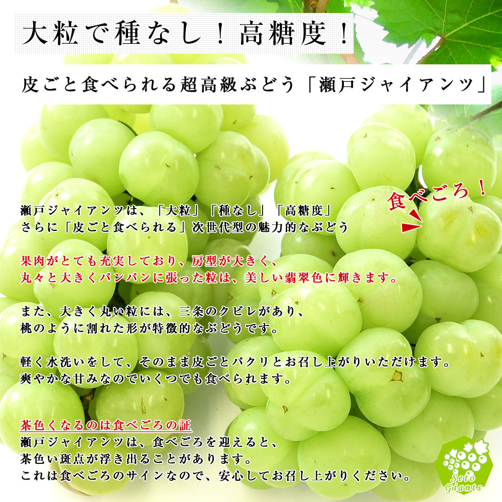 楽天市場 Ja全農おかやま協賛 岡山県産 瀬戸ジャイアンツ 青秀2房合計1 2キロ 600g 2房 送料無料 産直だより