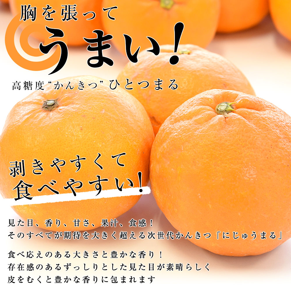 楽天市場 佐賀県産 Jaグループ佐賀 ひとつまる 6lからl 5キロ 10玉から25玉 送料無料 柑橘 にじゅうまる ご家庭用 中晩柑 みかん 産直だより