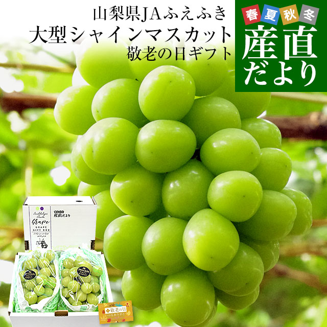 grape154_0_keiro.jpg