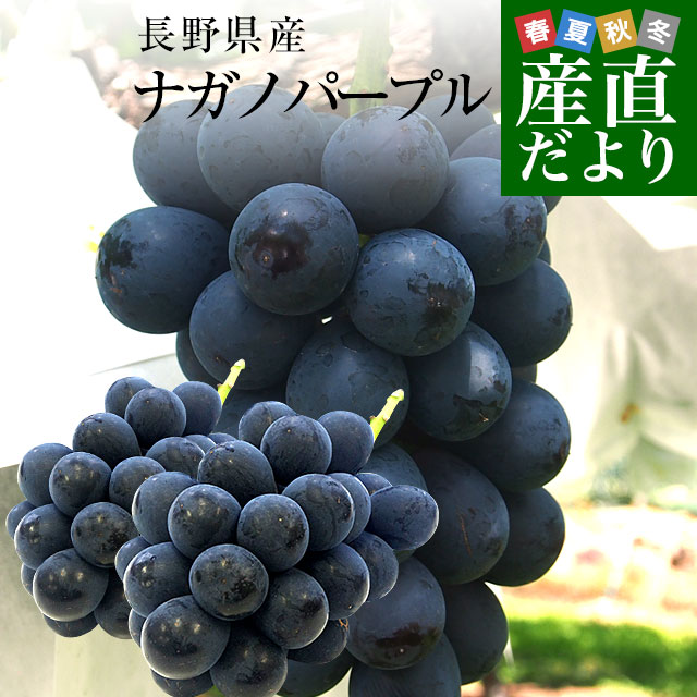 grape204_0.jpg