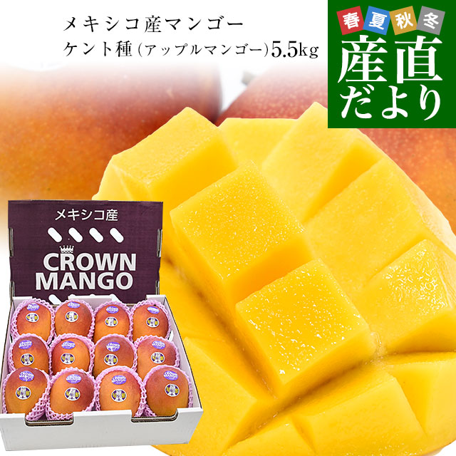 メキシコ産 アップルマンゴー（ケント種）約5.5キロ原体箱（12玉から14玉入り） 送料無料 クール便 まんごー マンゴー 市場発送