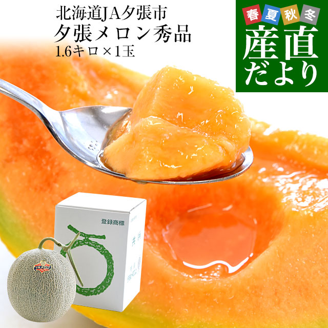 北海道より産地直送 JA夕張市 夕張メロン 秀品 1玉(1.6キロ×１玉) 送料無料ゆうばり 夕張キング めろん ギフト お中元 御中元 夏ギフト のし対応可