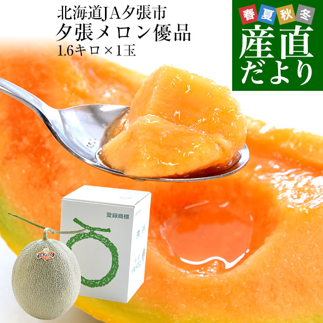 北海道より産地直送 JA夕張市 夕張メロン 優品 1玉(1.6キロ×１玉) 送料無料ゆうばり 夕張キング めろん