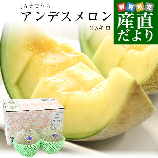 melon255_0.jpg