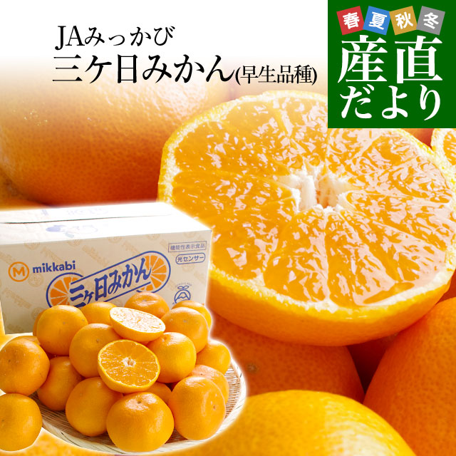 楽天市場】静岡県より産地直送 JAみっかび 三ケ日みかん (早生品種) L