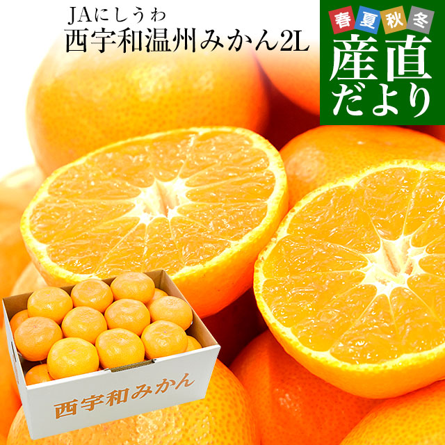 楽天市場】愛媛県より産地直送 JAにしうわ 西宇和温州みかん 2Lサイズ