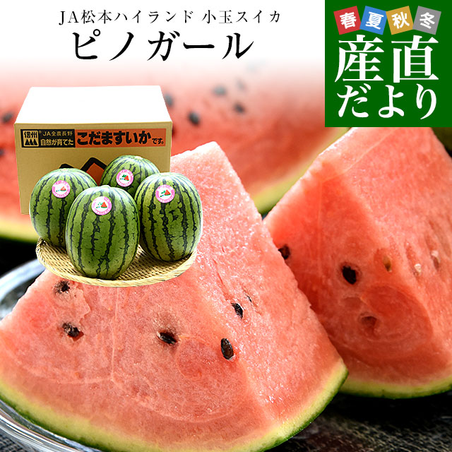 ３玉・滋賀県・のら・ピノガール 3001-00270000448.png