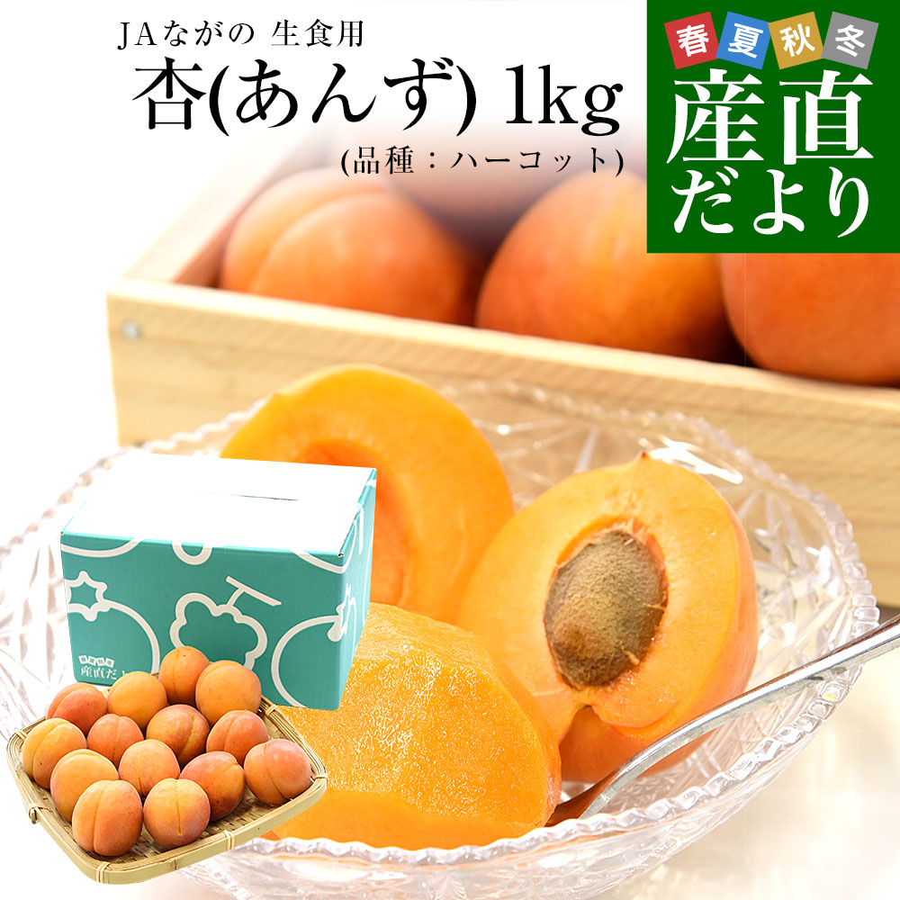 【楽天市場】長野県産 JAながの 生食用「杏(あんず)」(品種:ハーコット) 秀品 Lサイズ以上 約1キロ 送料無料 アプリコット 杏子 ...