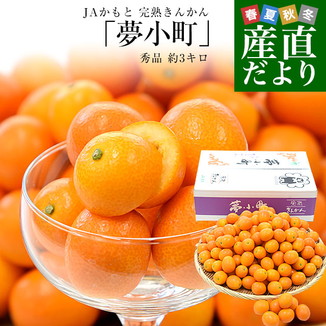 楽天市場】熊本県 JAかもと 完熟きんかん「夢小町」秀品 約1キロ（250g