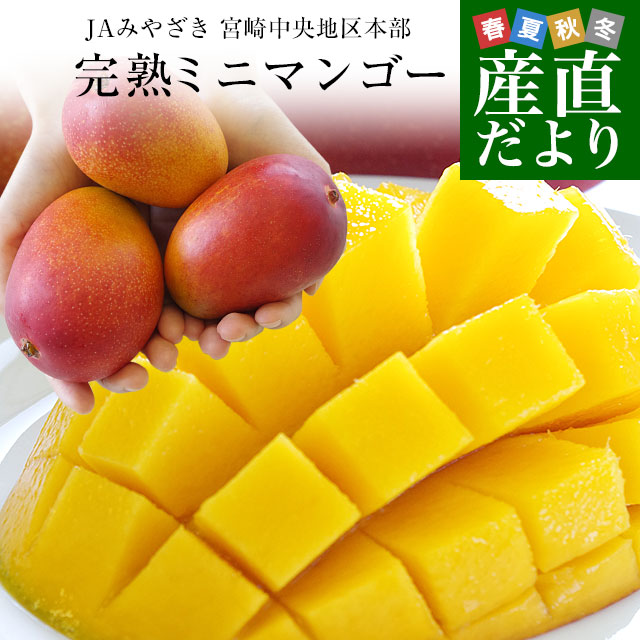 楽天市場】ペルー産 ”ケントマンゴー” 大玉12玉前後 約6kg 航空