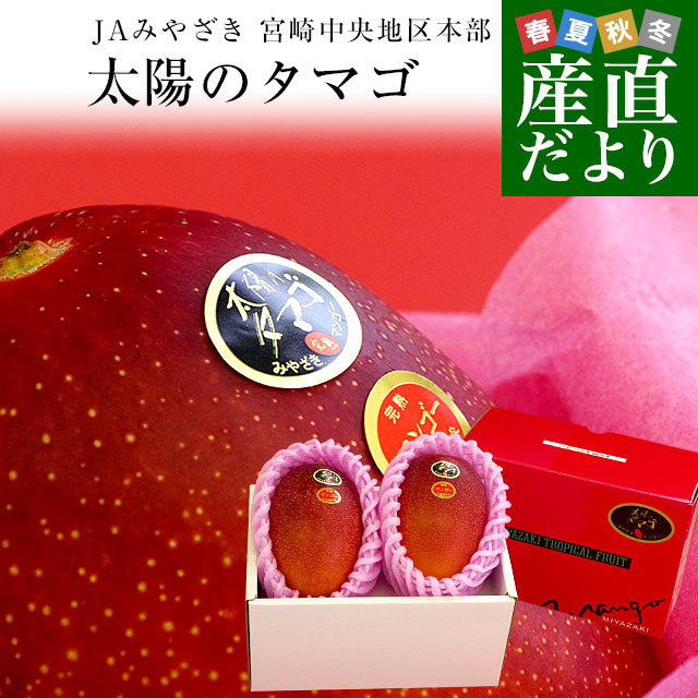 宮崎県より産地直送 JAみやざき宮崎中央地区本部 太陽のタマゴ 最高級AA品 3L×2玉 （450gから499g×2玉） 送料無料 マンゴー たいようのたまご