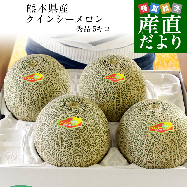 熊本県産 JA熊本市又はJA熊本うき クインシーメロン 超大玉 4Lから3Lサイズ 秀品 5キロ箱 (3玉から4玉入) 送料無料 赤肉 めろん メロン