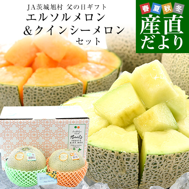 【父の日 ギフト】 茨城県産 JA茨城旭村 エルソルメロン＆クインシーメロン 特秀品 大玉3Lサイズ 2玉セット （合計約2.5キロ） 送料無料 青肉 赤肉 メロンセット 父の日 父の日プレゼント