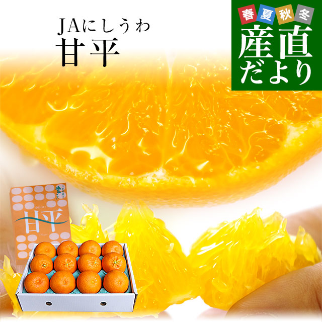 0️⃣4️⃣愛媛県産 川上蜜柑 秀品Sサイズ ２箱セット④ 楽天市場】【お歳暮 ギフト】愛媛県 JAにしうわ「川上みかん」2Lサイズ