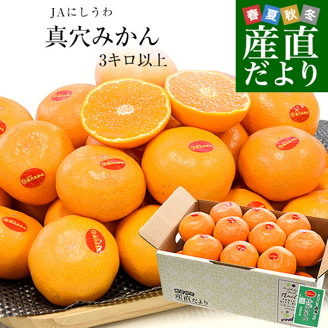 楽天市場】愛媛西宇和 真穴みかん 約5キロ Sサイズ お歳暮贈答用 愛媛