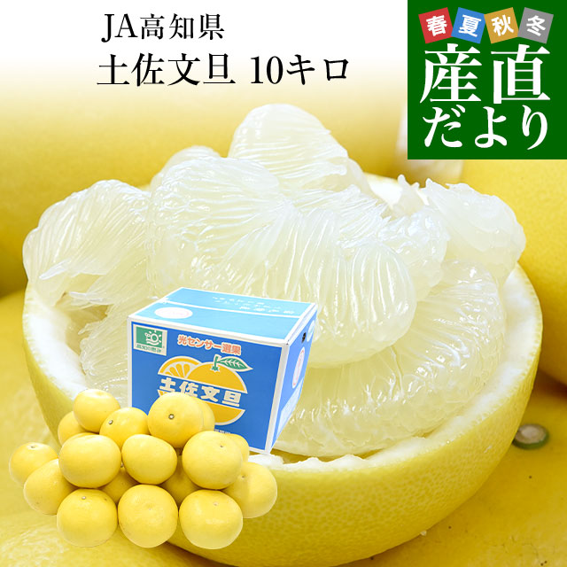 楽天市場】高知県産 JA高知県 土佐文旦 約3.8キロ 2Lサイズ（8玉入り