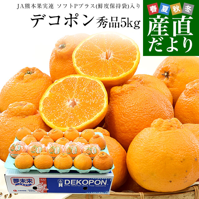 デコポン 極実・特大 約5kg 7〜9玉 熊本県産 贈答規格 JA