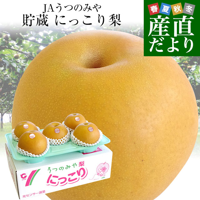 梨　にっこり　苗木　実付き にっこり 赤ナシ 苗 販売 苗木部 By 花ひろばオンライン