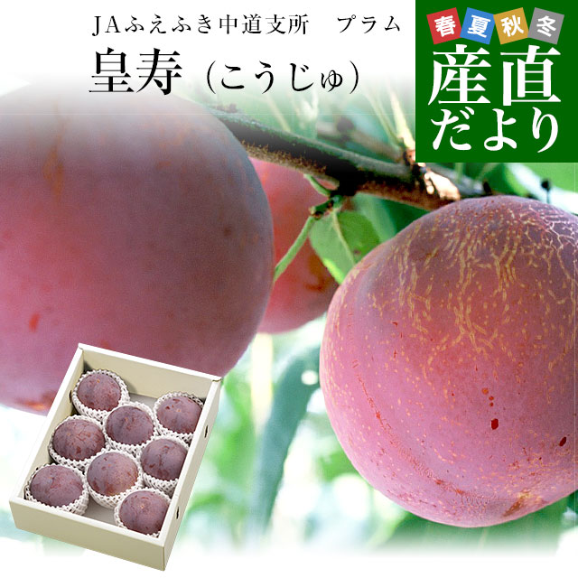 山梨県より産地直送 JAふえふき中道支所 プラム 皇寿 大玉サイズ 約1.7キロ（6玉から8玉）送料無料 ぷらむ 李 スモモ