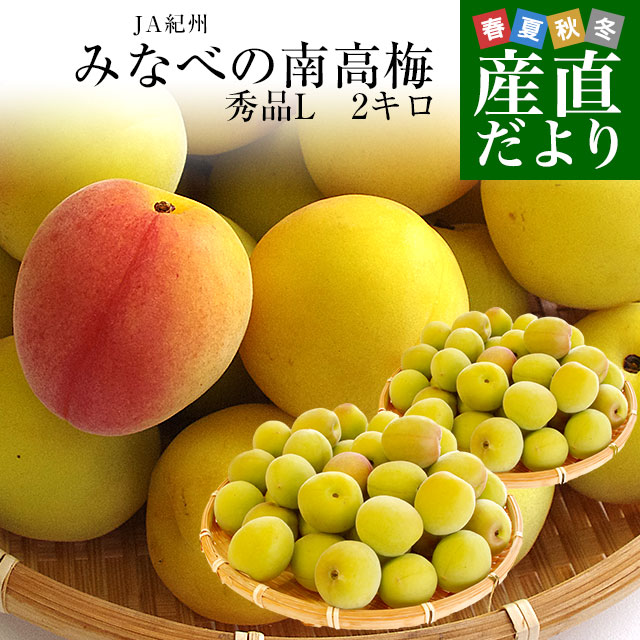 和歌山県産 JA紀州 みなべの南高梅 Lサイズ 秀品 約2キロ（80玉から100玉前後） 梅 梅干 梅干し 梅酒 梅サワー 梅ジャム うめ ウメ