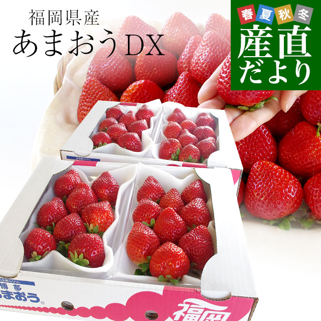 dx-2-1080g-28-48-540g-2