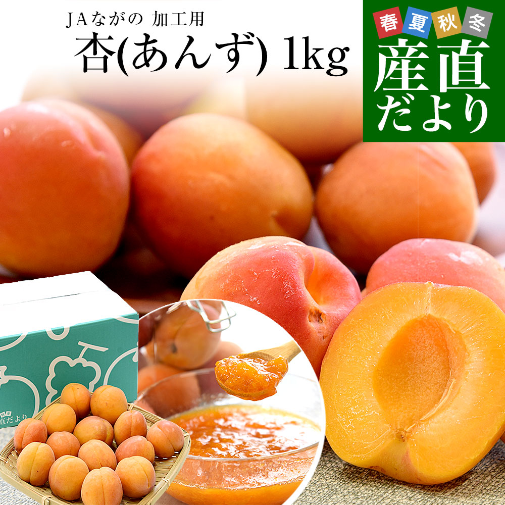 【楽天市場】長野県産 JAながの 加工用「杏(あんず)」(品種:信州大実・平和・新潟大実など) 秀品 Lサイズ以上 約1キロ 送料無料 ...