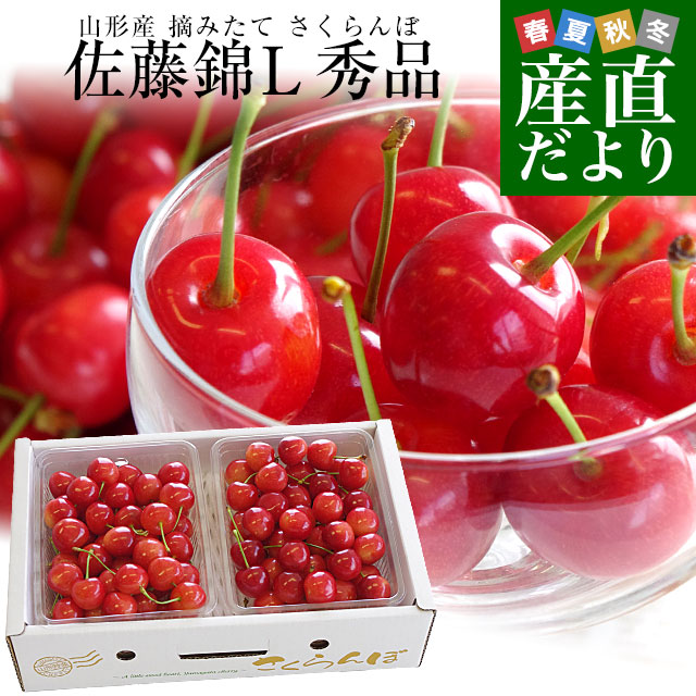 山形県より産地直送 さくらんぼ佐藤錦 大粒Lサイズ　秀品1キロ (500g×2P入) 送料無料 クール便　サクランボ　桜桃