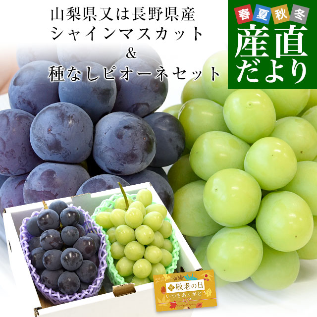 みなみん勝沼産ぶどう3kg 楽天市場】［葡萄 3色3kg ］［ぶどうばたけ］【 山梨県産 勝沼